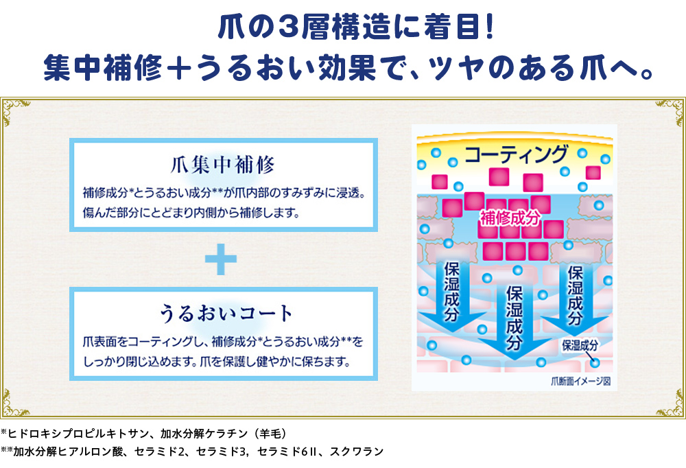 爪の3層構造に着目！集中補修＋うるおい効果で、ツヤのある爪へ。爪集中補修 補修成分※とうるおい成分＊＊が爪内部のすみずみに浸透。傷んだ部分にとどまり内側から補修します。 ＋うるおいコート 爪表面をコーティングし、補修成分＊をうるおい成分＊＊をしっかり閉じ込めます。爪を保護し健やかに保ちます。