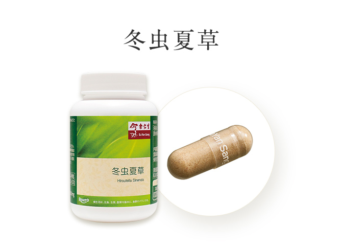 冬虫夏草