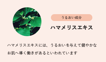 
                        うるおい成分
                        ハマメリスエキス
                        ハマメリスエキスには、うるおいを与えて健やかなお肌へ導く働きがあるといわれています
                        