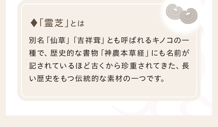「霊芝」とは