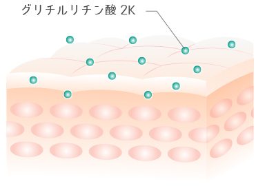 抗炎症成分で肌荒れを防ぐ