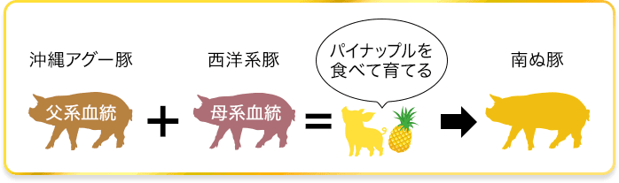 沖縄アグー豚＋西洋系豚＝パイナップルを食べて育てる->南ぬ豚