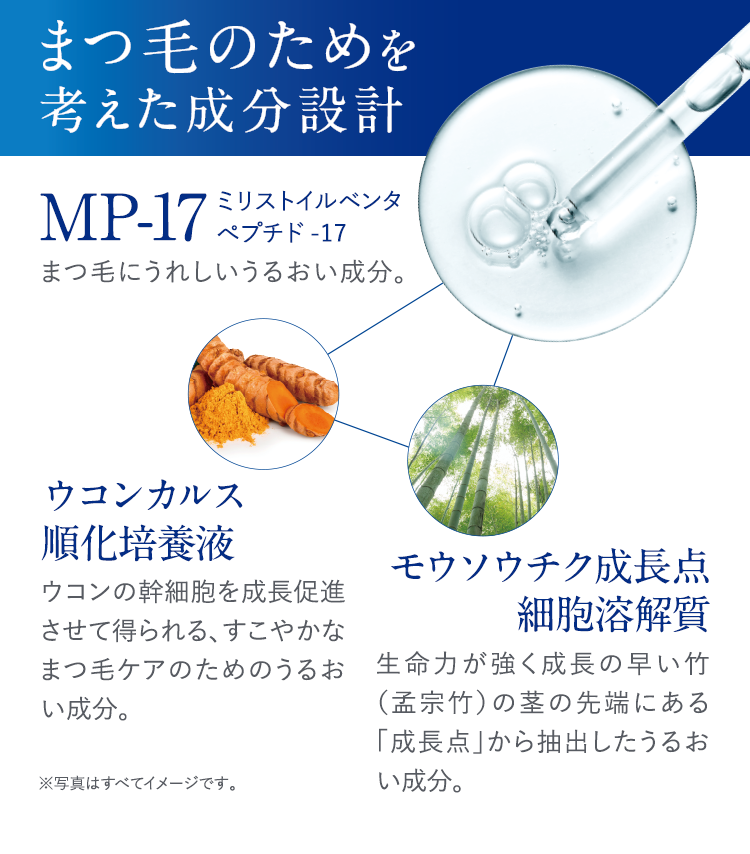 まつ毛のためを考えた成分設計 MP-17 ミリストイルペンタペプチド-17 まつ毛にうれしいうるおい成分。 ウコンカルス順化培養液 ウコンの幹細胞を成長促進させて得られる、すこやかなまつ毛ケアのためのうるおい成分。 モウソウチク成長点細胞溶解質 生命力が強く成長の早い竹(孟宗竹)の茎の先端にある「成長点」から抽出したうるおい成分。 ※写真はすべてイメージです。