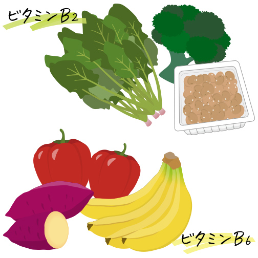 ビタミンのイメージ