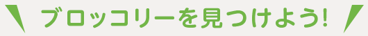 ブロッコリーを見つけよう！