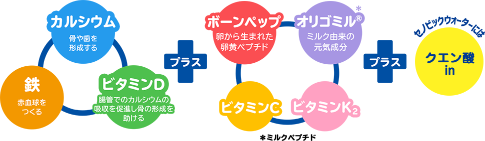 カルシウム・鉄・ビタミンDに加え、ボーンペップ・独自成分「オリゴミル」やビタミンC・ビタミンK2、セノビックウォーターにはクエン酸in