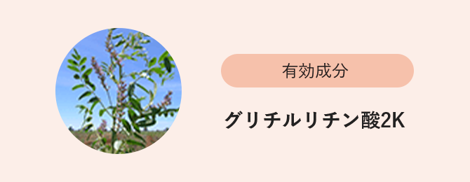 有効成分 グリチルリチン酸2K
