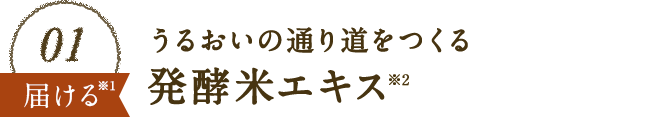 01 うるおいの通り道をつくる発酵米エキス