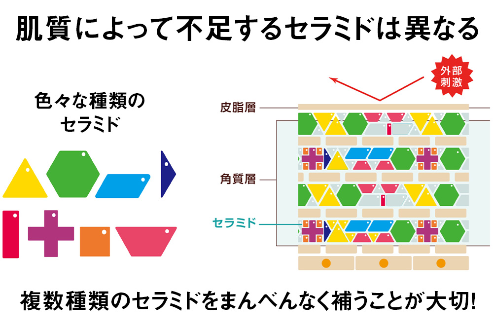 肌質によって不足するセラミドは異なる 複数種類のセラミドをまんべんなく補うことが大切!