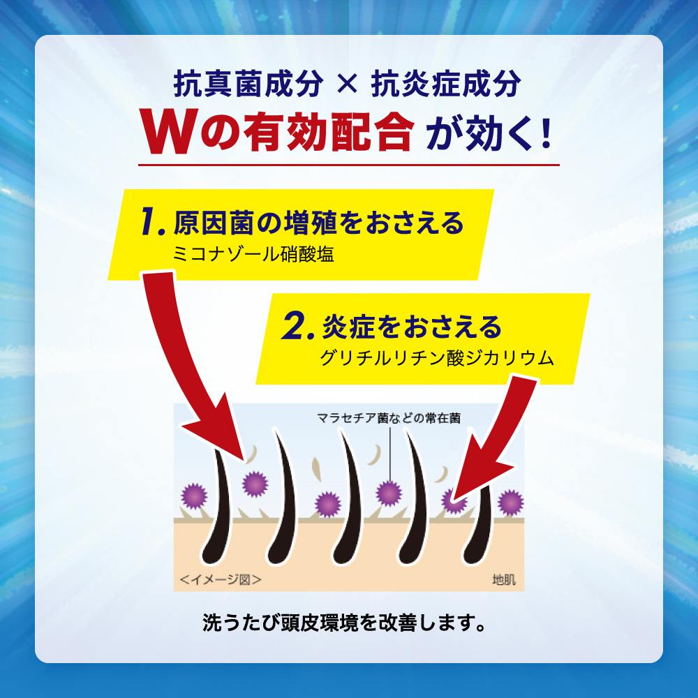 【医薬部外品】メディクイックH頭皮のメディカルシャンプー　しっとり　ポンプ