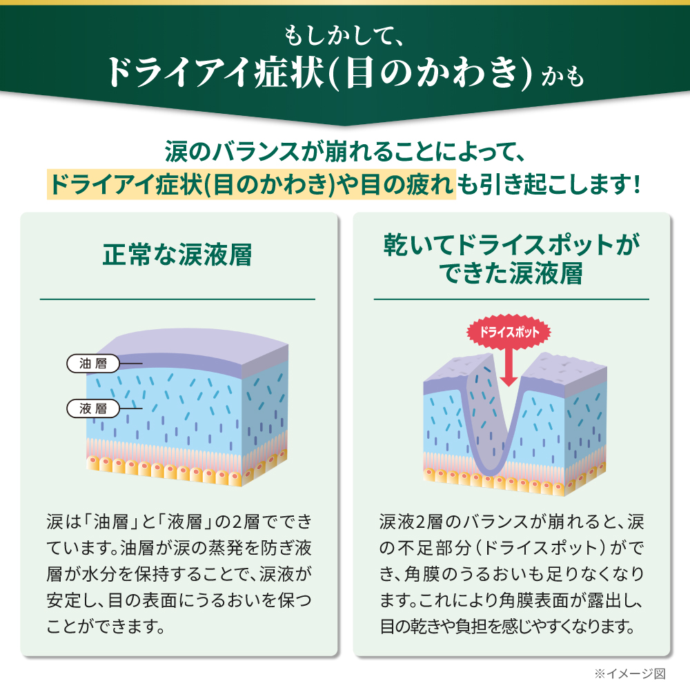 【第3類医薬品】Vロートドライガードプレミアム