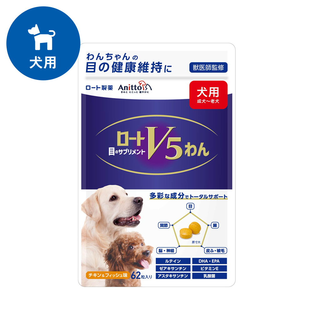 ロートV5わん(62粒)