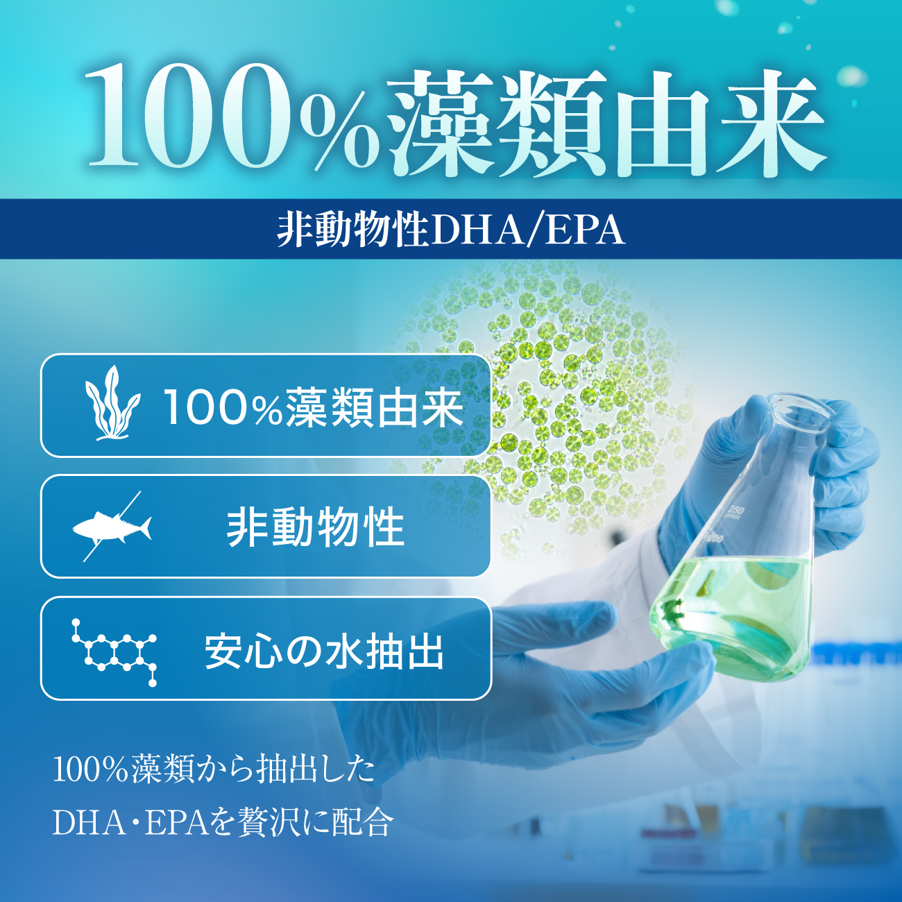 100%藻類由来 DHA/EPA