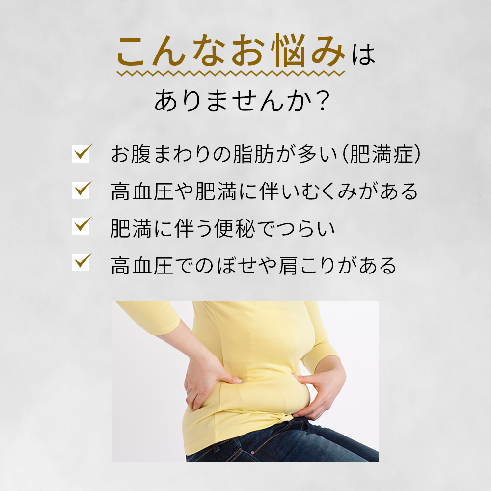 【第2類医薬品】新・ロート防風通聖散錠T 224錠