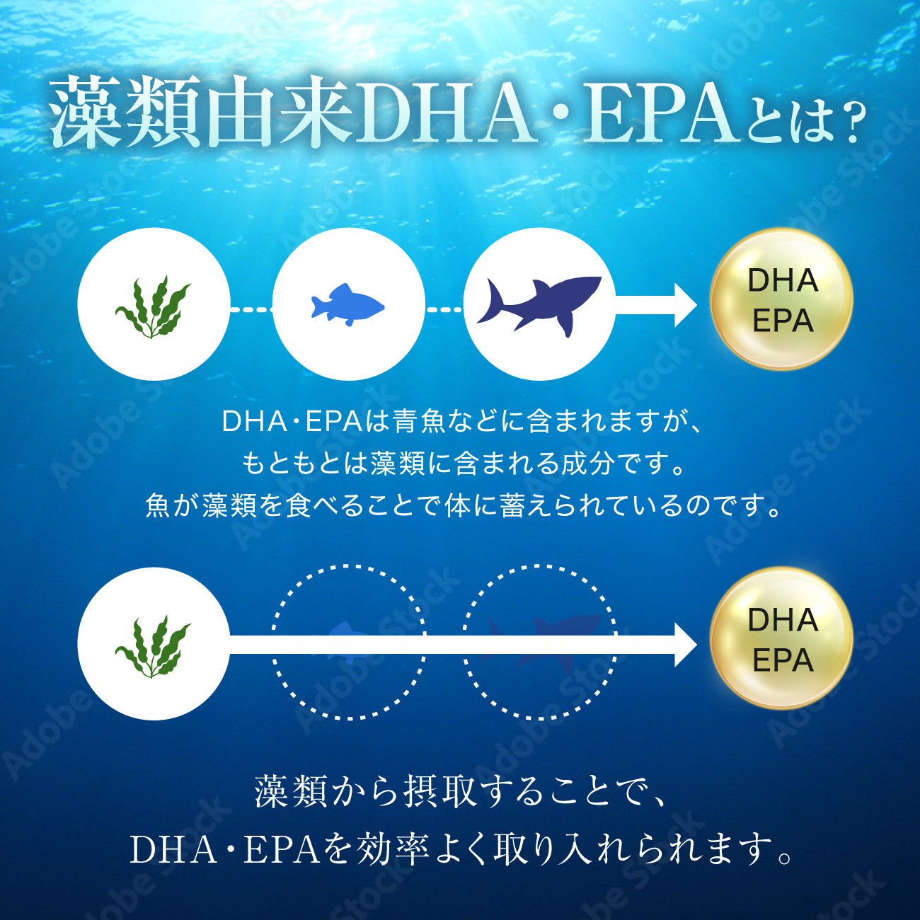 100%藻類由来 DHA/EPA