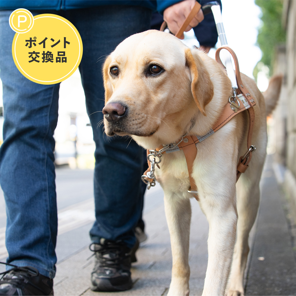 【ポイント交換】アイメイト協会 寄付金