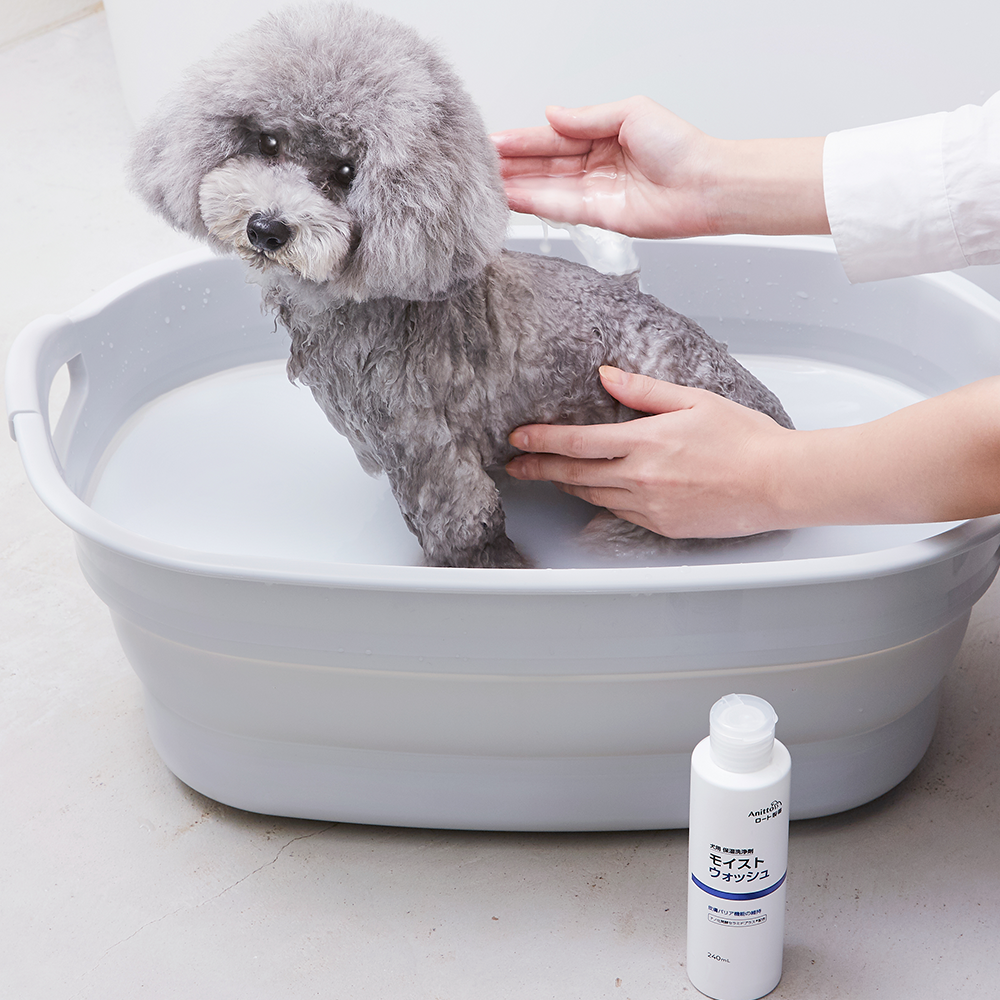 アニット　モイストウォッシュ