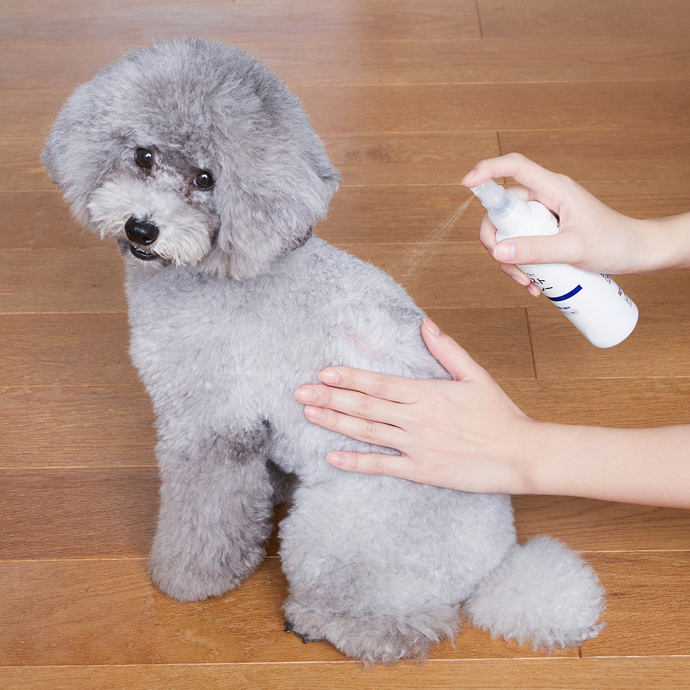 アニット　モイストスプレー