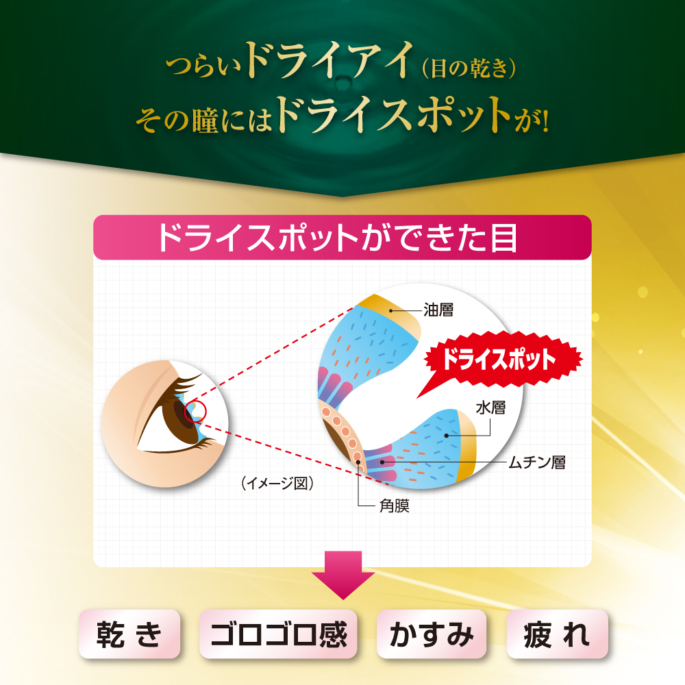 【第3類医薬品】Vロートドライアイプレミアム