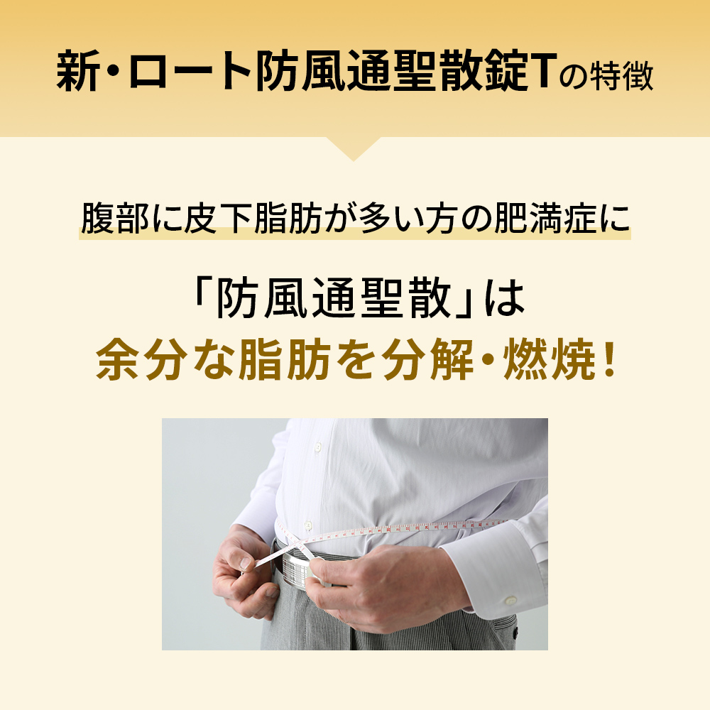 【第2類医薬品】新・ロート防風通聖散錠T 224錠