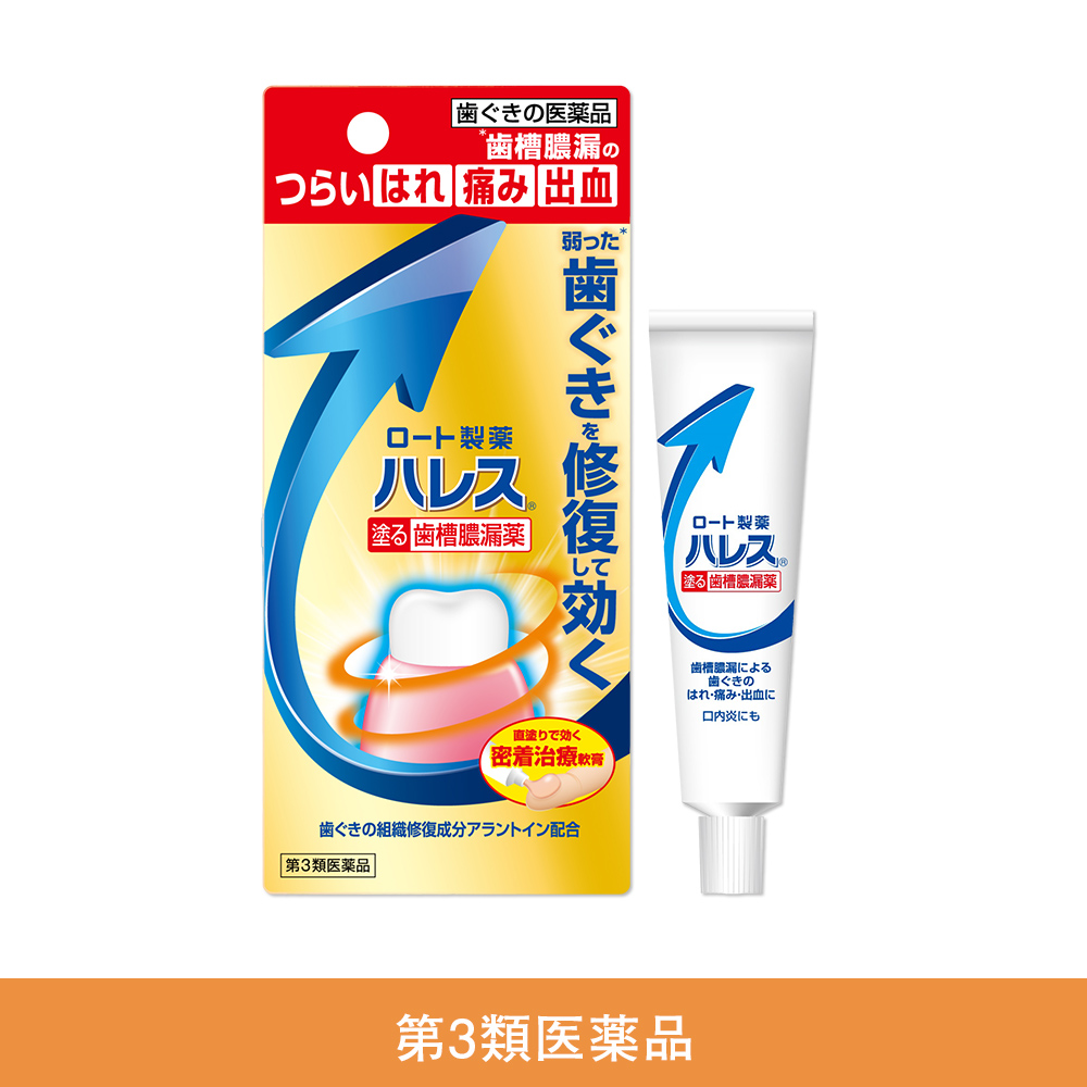 【第3類医薬品】ハレス 口内薬 15g