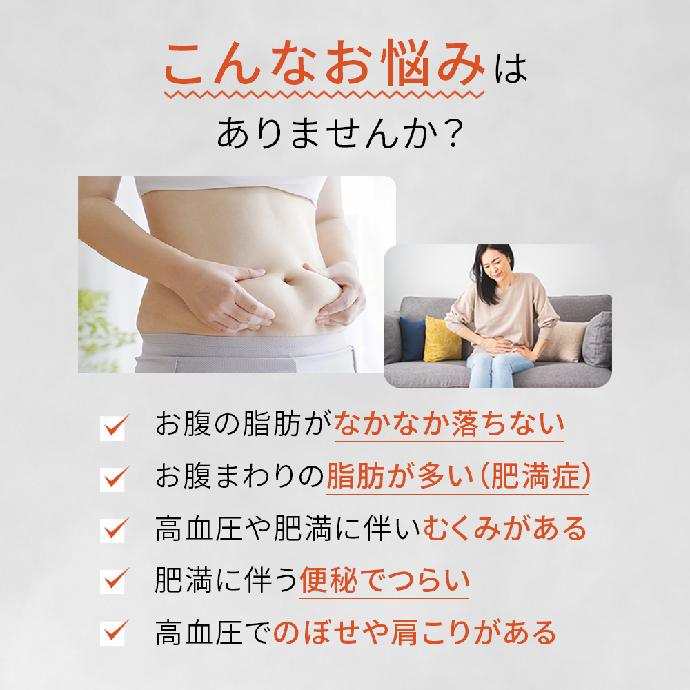 【第2類医薬品】ロート防風通聖散錠満量a