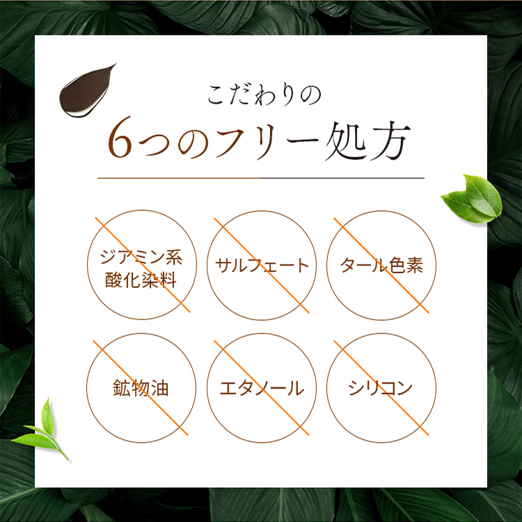 こだわりの 6つのフリー処方 ジアミン系 酸化染料 サルフェート タール色素 鉱物油 エタノール シリコン