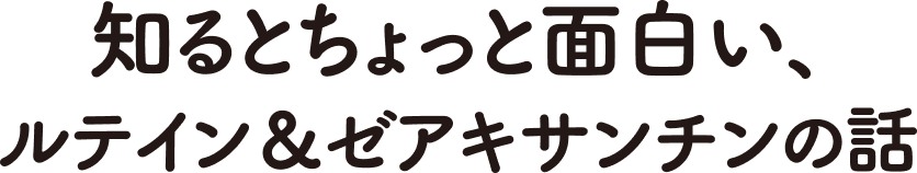 知るとちょっと面白い、ルテイン＆ゼアキサンチンの話