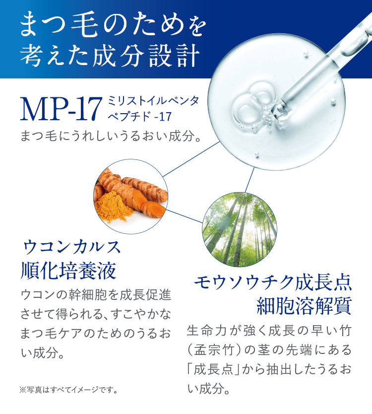 まつ毛のためを考えた成分設計 MP-17（ミリストイルペンタペプチド-17）まつ毛にうれしいうるおい成分。 ウコンカルス順化培養液 ウコンの幹細胞を成長促進させて得られる、すこやかなまつ毛ケアのためのうるおい成分。 モウソウチク成長点細胞溶解質 生命力が強く成長の早い竹（孟宗竹）の茎の先端にある「成長点」から抽出したうるおい成分。※写真はすべてイメージです。