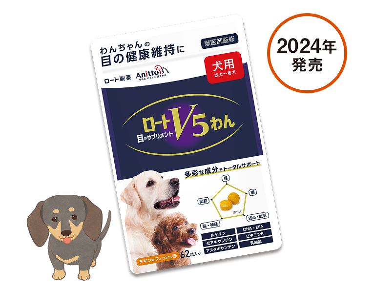 ロートV5 