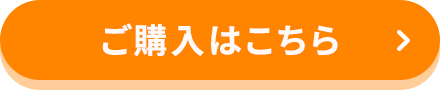 ご購入はこちら