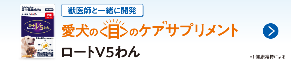 獣医師と一緒に開発　愛犬の目のケアサプリメント ロートV5わん