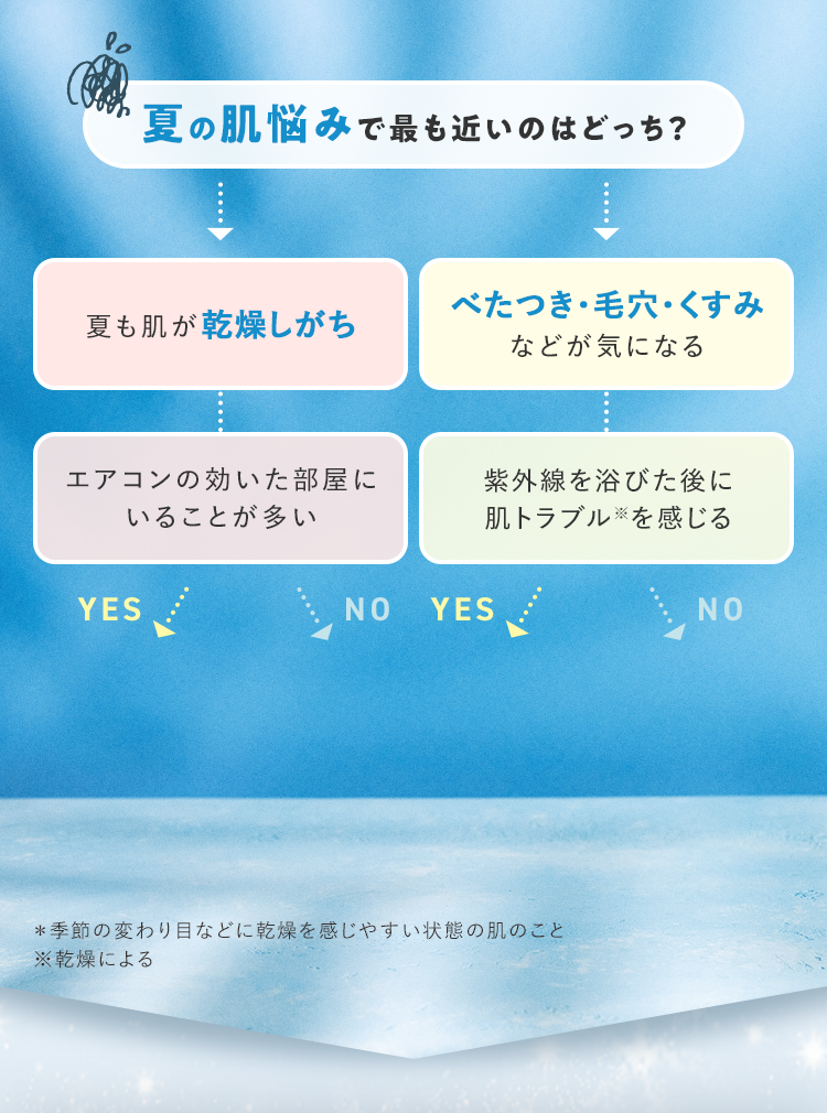夏の肌悩みで最も近いのはどっち？ ＊季節の変わり目などに乾燥を感じやすい状態の肌のこと ※乾燥による