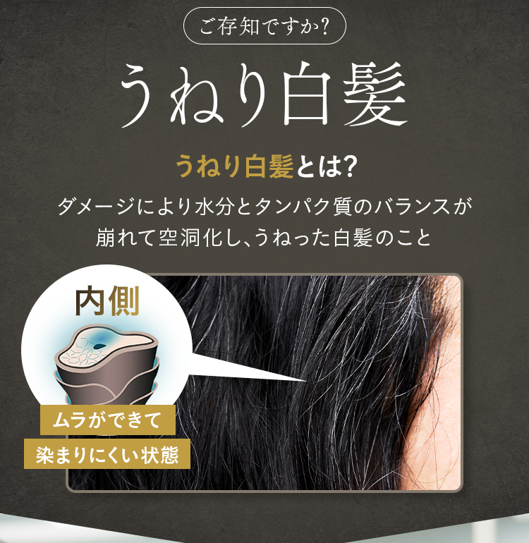 ご存知ですか？ うねり白髪 うねり白髪とは？ ダメージにより水分とタンパク質のバランスが 崩れて空洞化し、うねった白髪のこと
