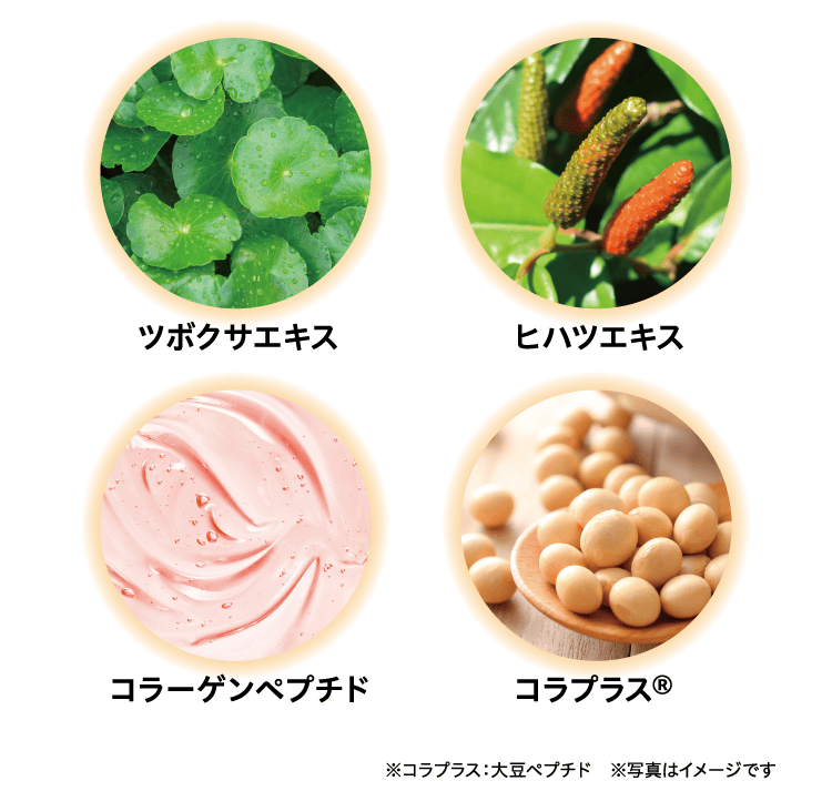 4種の美容サポート成分：ツボクサエキス・ヒハツエキス・コラーゲンペプチド・コラプラス®