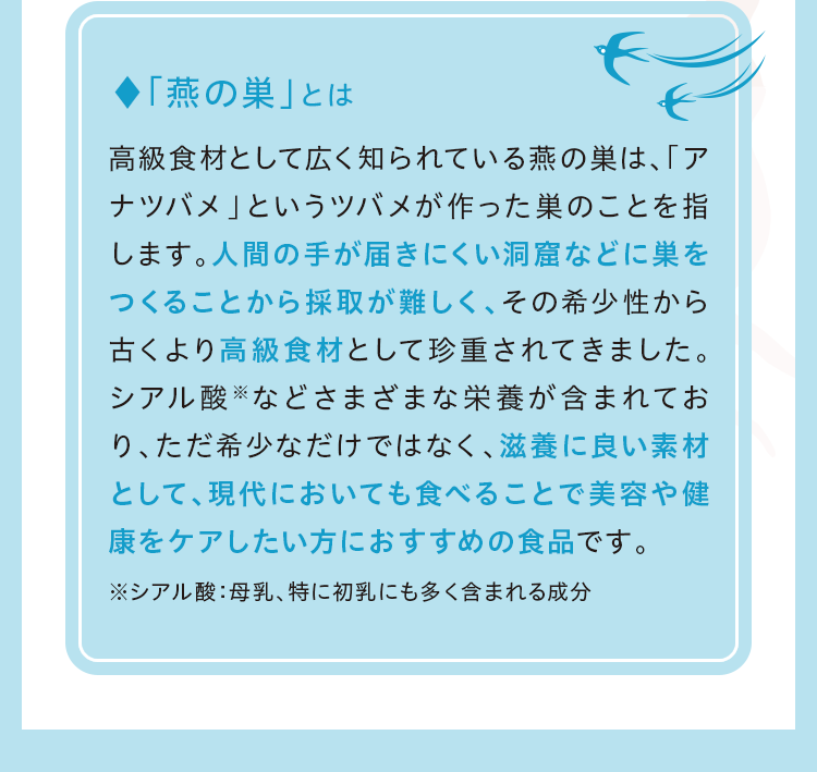 「燕の巣」とは