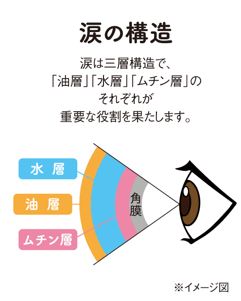 涙は三層構造で、「油層」「水層」「ムチン層」のそれぞれが重要な役割を果たします。
