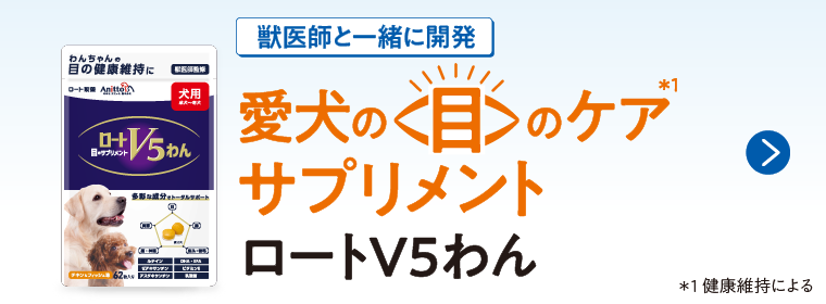 獣医師と一緒に開発　愛犬の目のケアサプリメント ロートV5わん