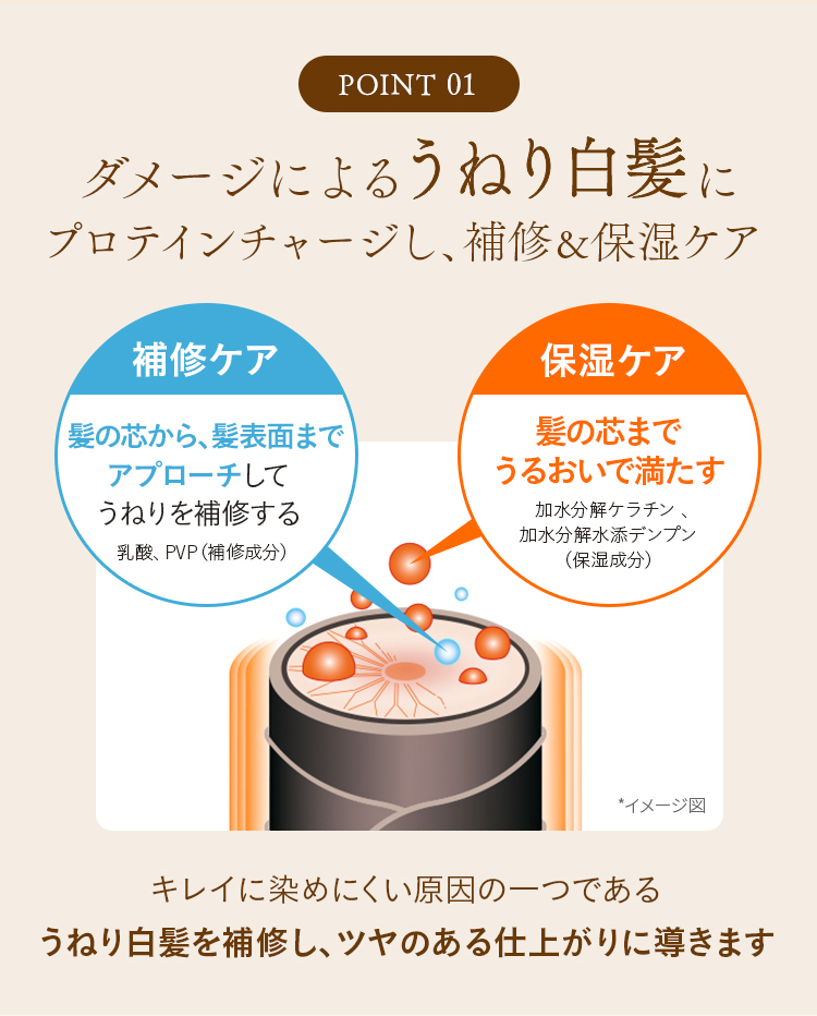 POINT 01 ダメージによるうねり白髪に プロテインチャージし、補修＆保湿ケア 補修ケア