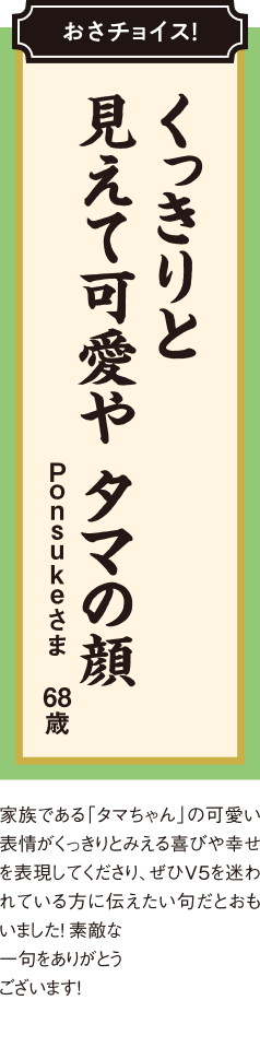 くっきりと 見えて可愛や タマの顔