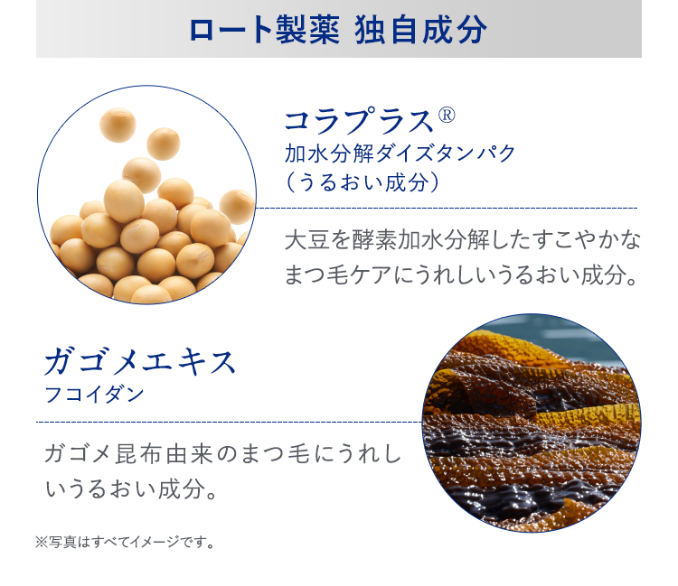 ロート製薬 独自成分 コラプラス® 加水分解ダイズタンパク（うるおい成分）大豆を酵素加水分解したすこやかなまつ毛ケアにうれしいうるおい成分。 ガゴメエキス フコイダン ガゴメ昆布由来のまつ毛にうれしいうるおい成分。※写真はすべてイメージです。