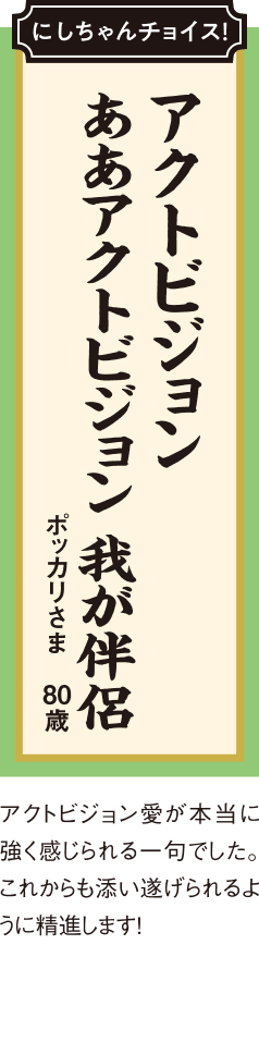 アクトビジョン ああアクトビジョン 我が伴侶