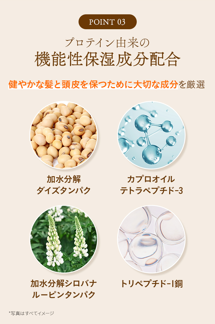 POINT 03 プロテイン由来の 機能性保湿成分配合 健やかな髪と頭皮を保つために大切な成分を厳選 加水分解 ダイズタンパク カプロオイル テトラペプチド-3 加水分解シロバナ ルーピンタンパク トリペプチド-1銅
