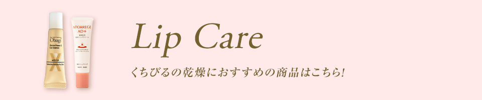 Lip Care くちびるの乾燥におすすめの商品はこちら！