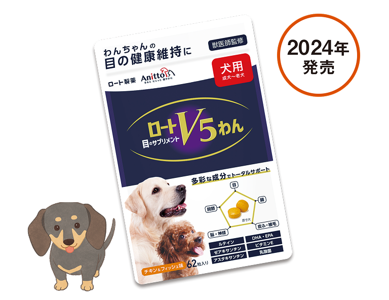 ロートV5 