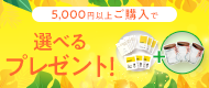 プレゼントキャンペーン