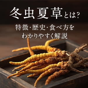 冬虫夏草とは？特徴・歴史・食べ方をわかりやすく解説